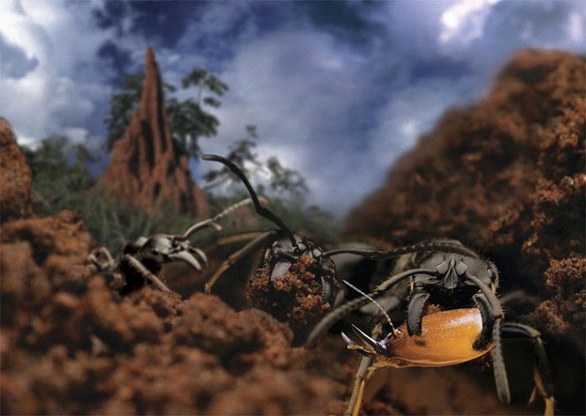Válka termitů - Z filmu