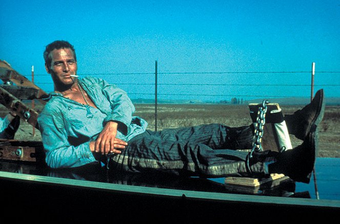 Cool Hand Luke - Van film - Paul Newman