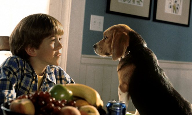 Cats & Dogs - Do filme