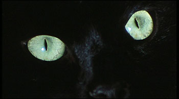 The Crimes of the Black Cat - Photos