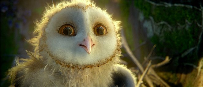 Legend of the Guardians: The Owls of Ga'Hoole - Photos