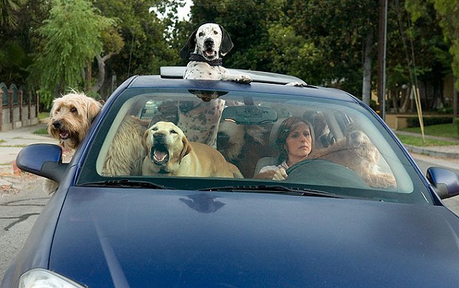 Year of the Dog - De la película - Molly Shannon