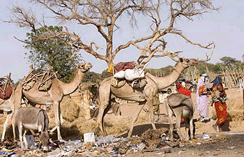 Darfur Now - De la película