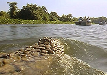 Krokodýl zabiják 2 - Z filmu