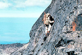 The Ascent - De la película