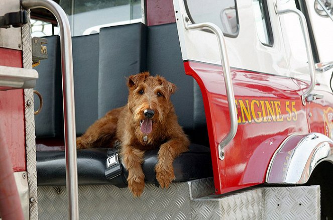 Rexx, der Feuerwehrhund - Filmfotos