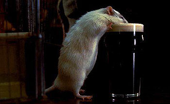 Rat - De la película