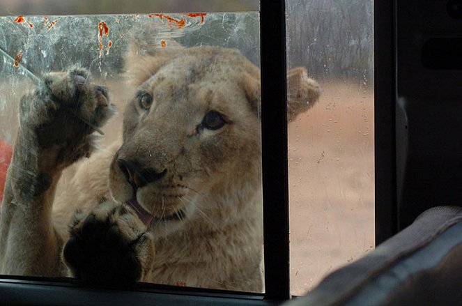 Terreur dans la savane - Film