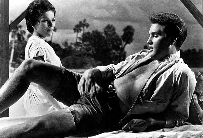 Ein Sommer in Florida - Filmfotos - Elvis Presley