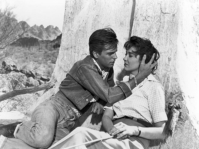 A Kiss Before Dying - Filmfotók - Robert Wagner, Virginia Leith