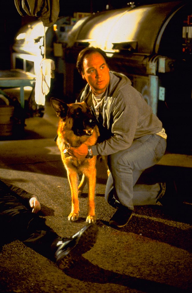 Kutyám, Jerry Lee 3. - Filmfotók - Jim Belushi