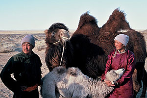 The Story of the Weeping Camel - Photos