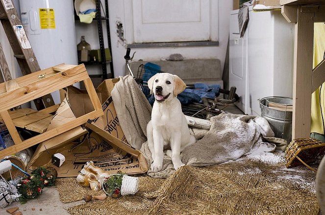 Marley meg én - Filmfotók