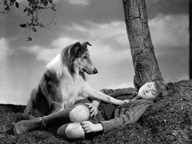 Lassie Come Home - Van film - Pal, Roddy McDowall