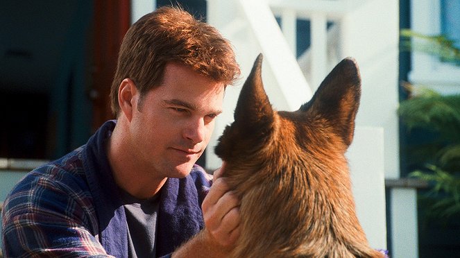 Como perros y gatos 2: La revancha de Kitty Galore - De la película - Chris O'Donnell