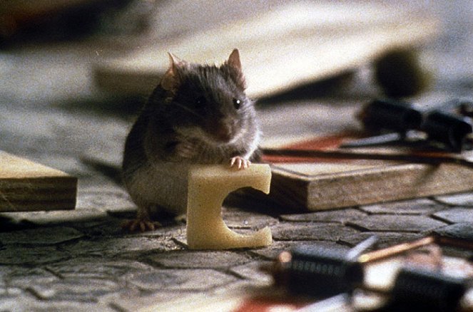 Un ratoncito duro de roer - De la película