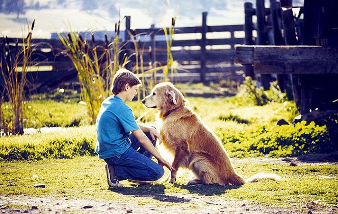 Homeward Bound: The Incredible Journey - Photos