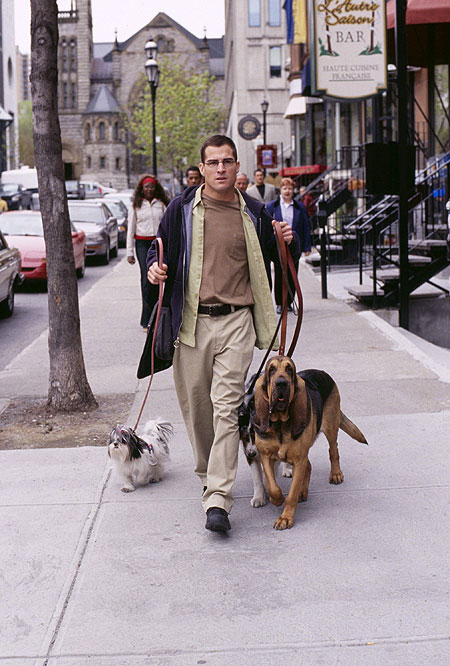 Just a Walk in the Park - Film - George Eads