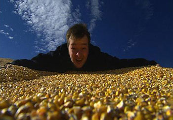 King Corn - Do filme