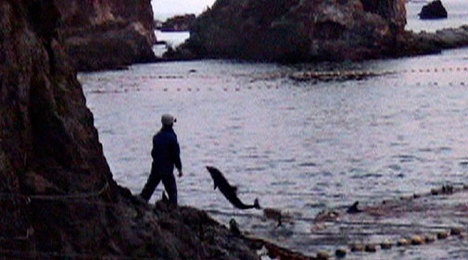 The Cove - Meren salaisuus - Kuvat elokuvasta