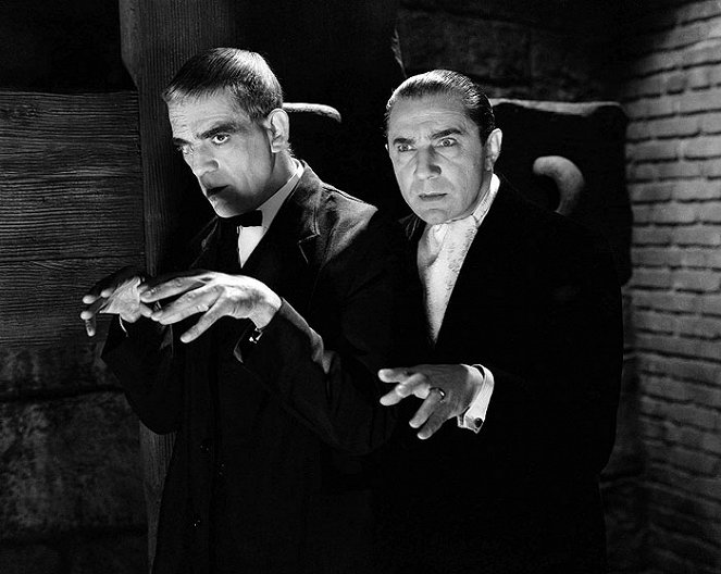 Der Rabe - Filmfotos - Boris Karloff, Bela Lugosi