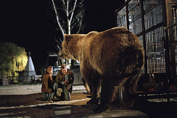 Ein ungezähmtes Leben - Filmfotos - Bart der Bär II