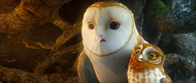 Legend of the Guardians: The Owls of Ga'Hoole - Van film