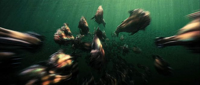 Piranha 3D - Filmfotos