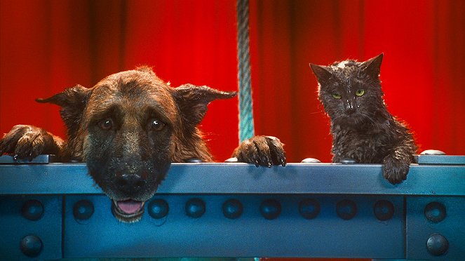 Como perros y gatos 2: La revancha de Kitty Galore - De la película