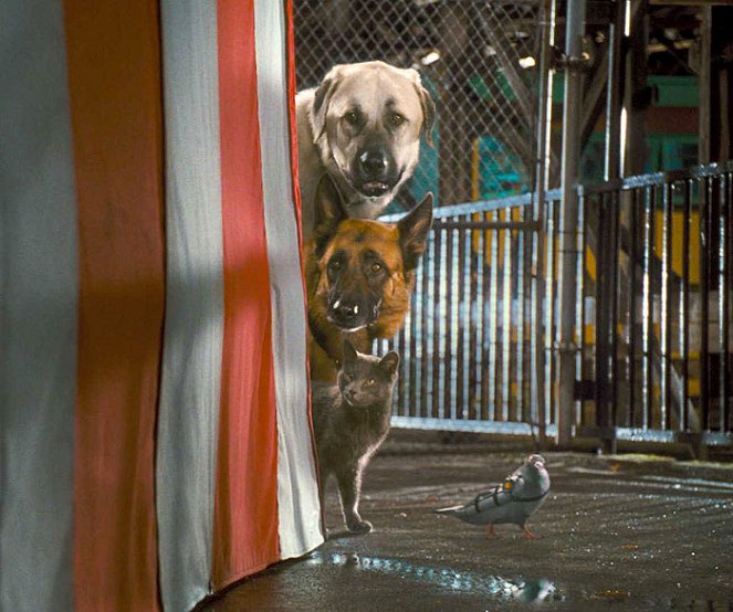 Cats & Dogs: The Revenge of Kitty Galore - Van film