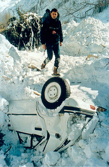 Avalanche: The White Death - Van film
