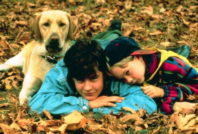 Dobrodružstvá Žltého psa - Z filmu - Jesse Bradford, Joel Palmer