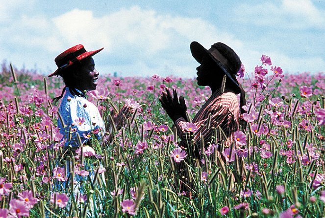 El color púrpura - De la película - Akosua Busia, Whoopi Goldberg