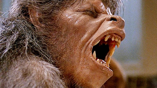 An American Werewolf in London - Van film - David Naughton