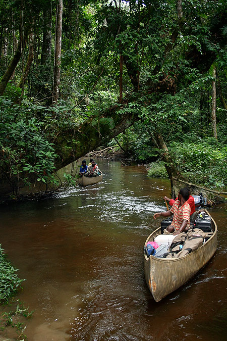 Gabon: Vítězství divočiny - Z filmu