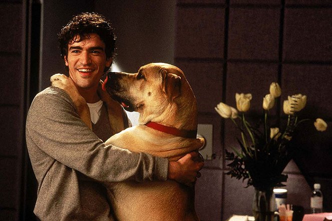 The Truth About Cats & Dogs - Do filme - Ben Chaplin