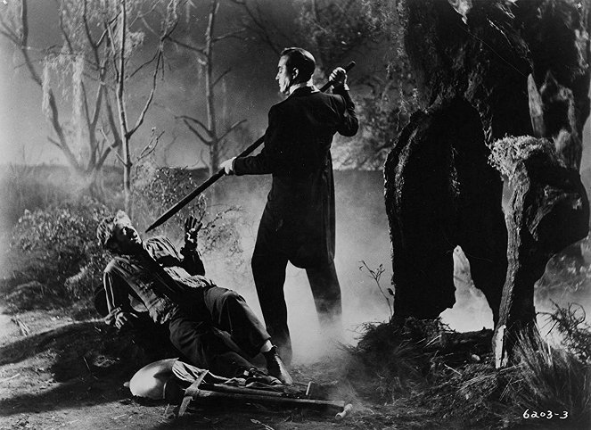 The Premature Burial - Filmfotók - Ray Milland
