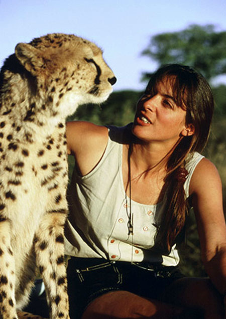 Cheetah - The Running of their Lives - Do filme