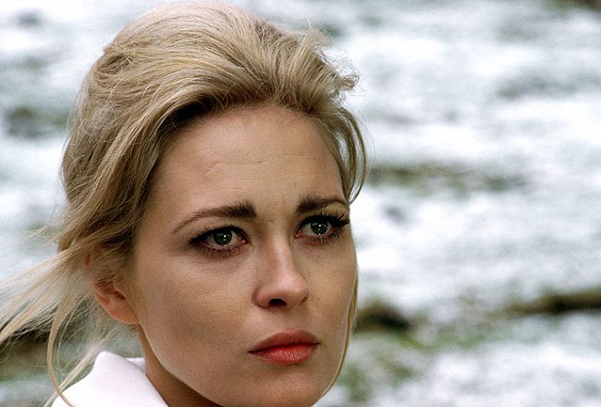 Der Duft deiner Haut - Filmfotos - Faye Dunaway