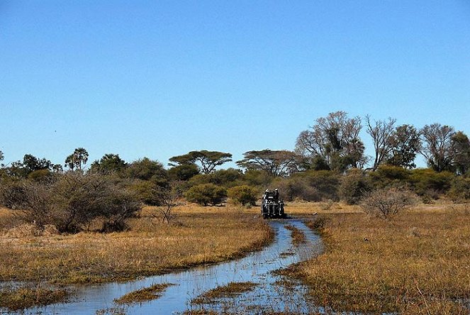 Africké dobrodružství 3D: Safari na Okavangu - Z filmu