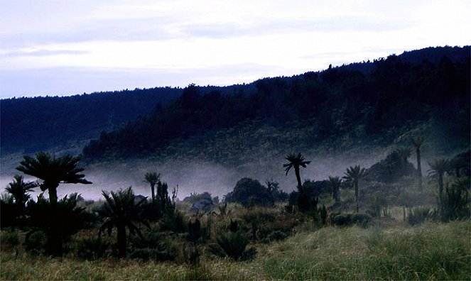 Carstensz - Siedma hora - Filmfotos