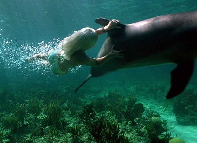 Die Delfinflüsterin - Filmfotos