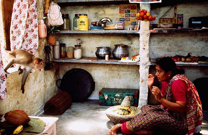 Bad Boy Monkeys of India - Filmfotók