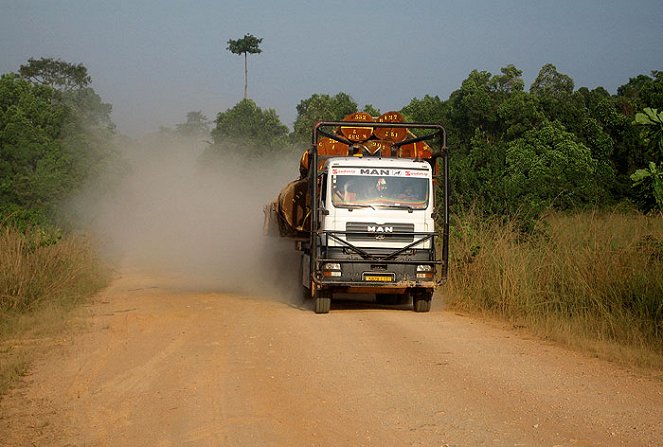 National Geographic Special: Gabon - Triumph of the Wild - Filmfotos