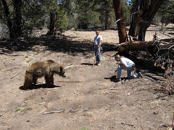 National Geographic Special: Search for the Ultimate Bear - Photos
