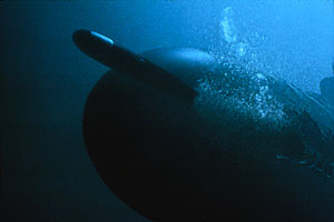 Submarines - Filmfotos