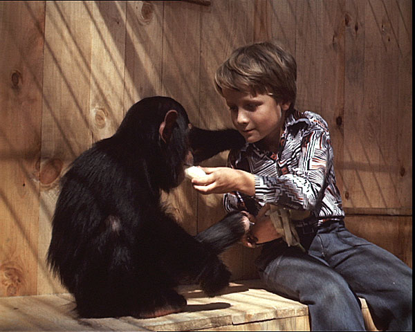 Terezu bych kvůli žádné holce neopustil - Kuvat elokuvasta - simpanssi Tereza, Norbert Judt