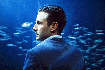Snít mezi rybami - Z filmu - David Arquette