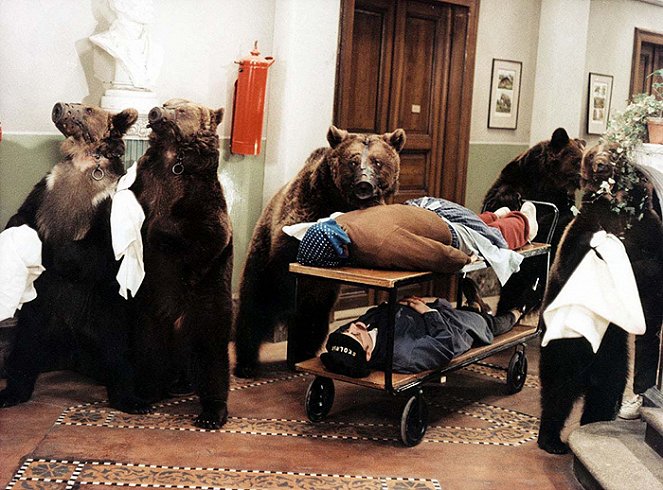 Šest medvědů s Cibulkou - Van film