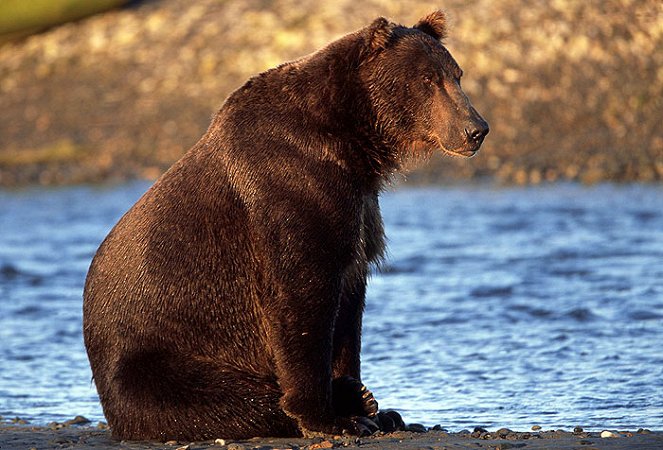 Big Bear Diary - Filmfotos